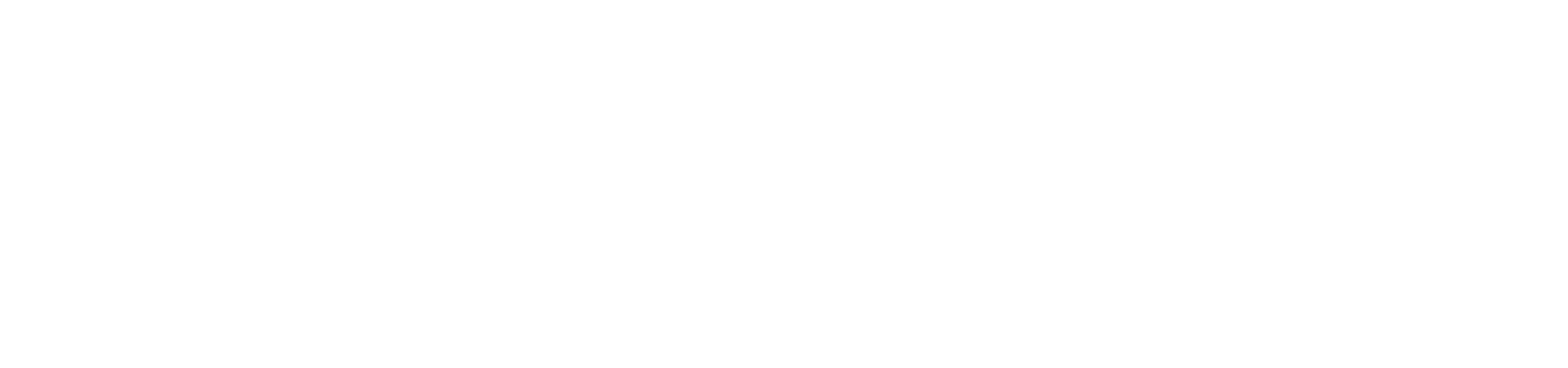 Silent Storm Logo